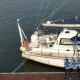आईएनएसवी तारिणी की समुद्री नौकायन दौड़