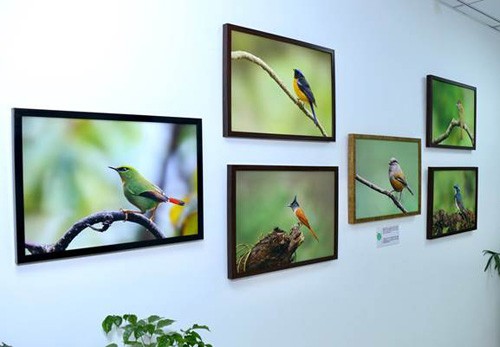 wildlife photo gallery at customs house delhi