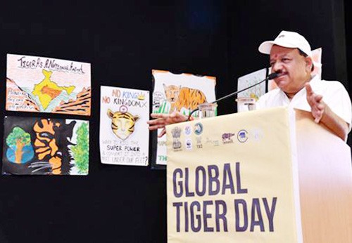 world tiger day