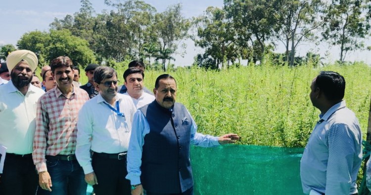 india's first cannabis medicine project begins in jammu