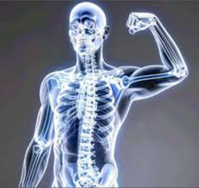 strong bones (file photo) strong bones (file photo)