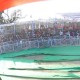 सपा कांग्रेस गठबंधन को जिताएं-अखिलेश