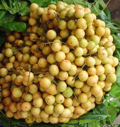 burmese grape 'latico' exported to dubai