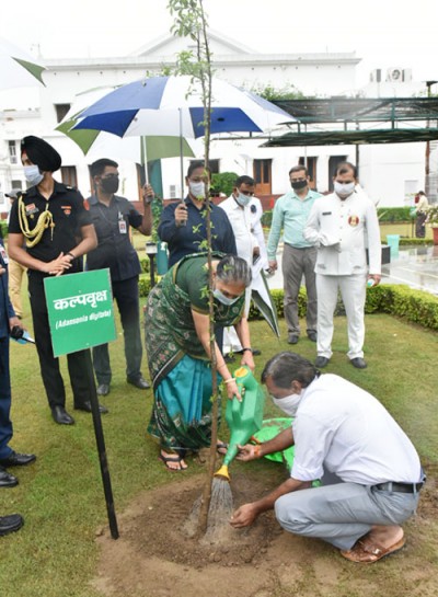 governor planted kalpavriksha in raj bhavan