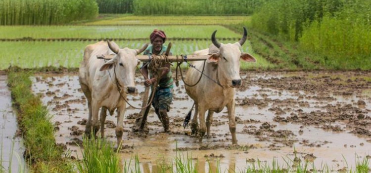 bill for agricultural reform passed from lok sabha