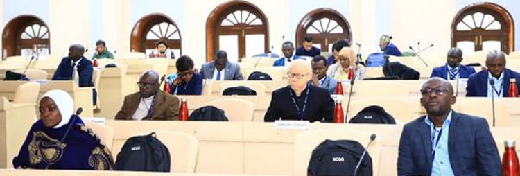 african civil servants learning good governance from india