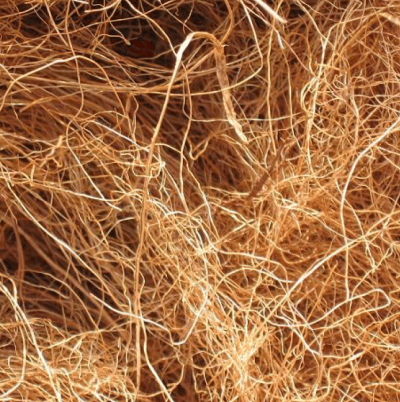 iit-madras mou with coir board for research on coconut fiber