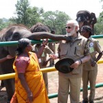 हाथी और हाथी पालकों से मिले मोदी