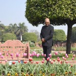 मुगल गार्डन में रंग-बिरंगे फूलों की छटा